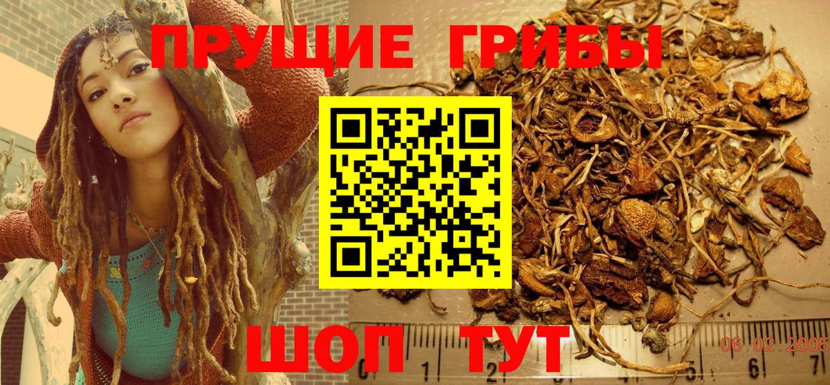 Кувандык  Псилоцибиновые грибы ЛСД  Вход с VPN 