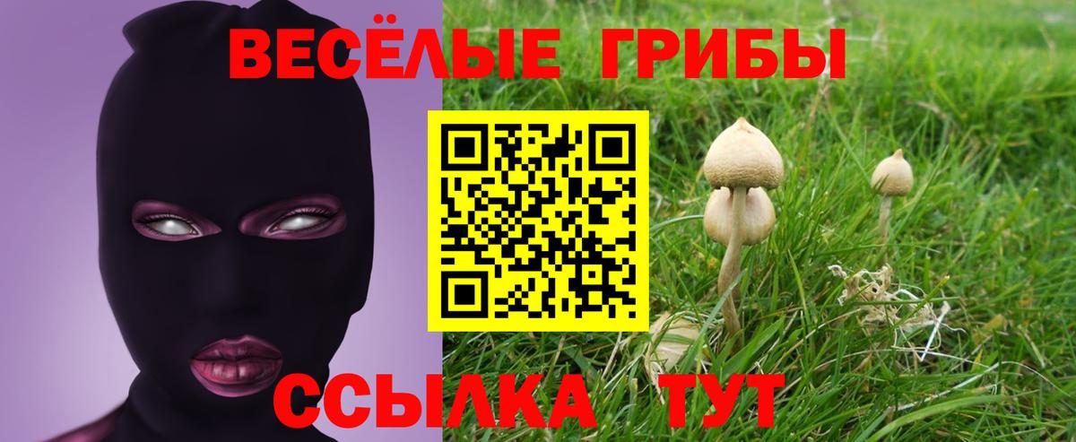 Галлюциногенные грибы прущие грибы Кувандык